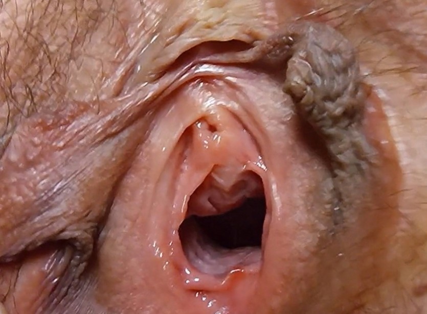 51bf237e5af561a939cc7d8ccfc29a79_1731395233_9176.jpg